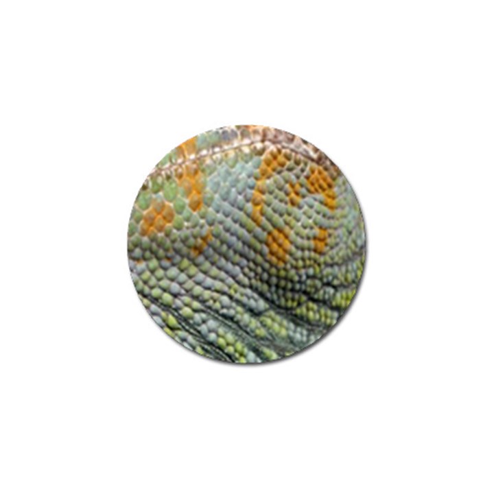 Macro Of Chameleon Skin Texture Background Golf Ball Marker (4 pack)