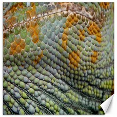 Macro Of Chameleon Skin Texture Background Canvas 20  x 20  