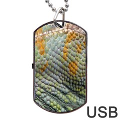 Macro Of Chameleon Skin Texture Background Dog Tag USB Flash (Two Sides)