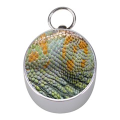 Macro Of Chameleon Skin Texture Background Mini Silver Compasses