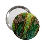 Colorful Chameleon Skin Texture 2.25  Handbag Mirrors Front