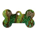 Colorful Chameleon Skin Texture Dog Tag Bone (Two Sides) Front