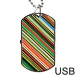 Colorful Stripe Background Dog Tag USB Flash (Two Sides) Back