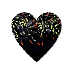 Colorful Spiders For Your Dark Halloween Projects Heart Magnet by Simbadda