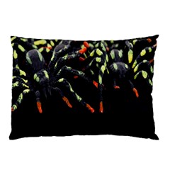 Colorful Spiders For Your Dark Halloween Projects Pillow Case (two Sides) by Simbadda