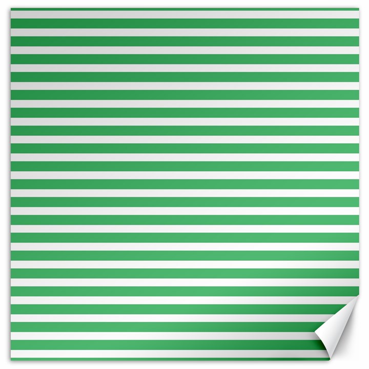 Horizontal Stripes Green Canvas 12  x 12  