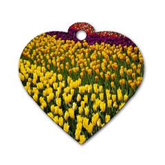 Colorful Tulips In Keukenhof Gardens Wallpaper Dog Tag Heart (two Sides) by Simbadda