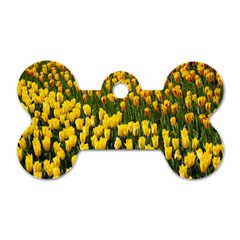 Colorful Tulips In Keukenhof Gardens Wallpaper Dog Tag Bone (one Side) by Simbadda