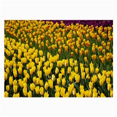 Colorful Tulips In Keukenhof Gardens Wallpaper Large Glasses Cloth by Simbadda