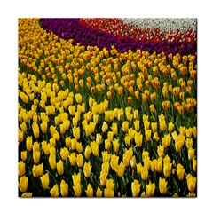 Colorful Tulips In Keukenhof Gardens Wallpaper Face Towel by Simbadda