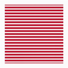 Horizontal Stripes Red Medium Glasses Cloth by Mariart