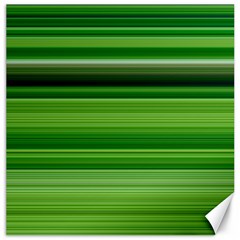 Horizontal Stripes Line Green Canvas 16  X 16  