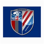 Shanghai Greenland Shenhua F.C. Small Glasses Cloth Front