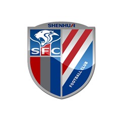 Shanghai Greenland Shenhua F C  Shower Curtain 48  X 72  (small)  by Valentinaart