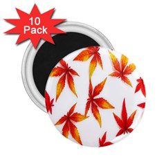 Colorful Autumn Leaves On White Background 2 25  Magnets (10 Pack)  by Simbadda