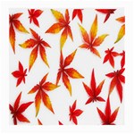 Colorful Autumn Leaves On White Background Medium Glasses Cloth (2-Side) Back