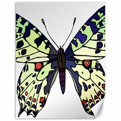 A Colorful Butterfly Image Canvas 18  X 24   by Simbadda