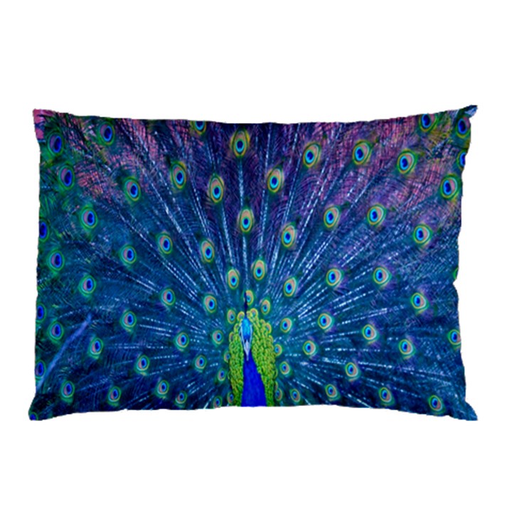 Amazing Peacock Pillow Case