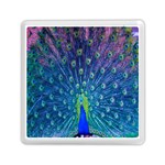 Amazing Peacock Memory Card Reader (Square)  Front