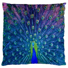 Amazing Peacock Large Cushion Case (two Sides) by Simbadda