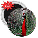 Red Peacock 3  Magnets (10 pack)  Front