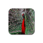 Red Peacock Rubber Coaster (Square)  Front
