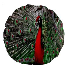 Red Peacock Large 18  Premium Round Cushions by Simbadda