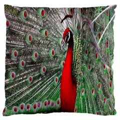 Red Peacock Large Flano Cushion Case (one Side)