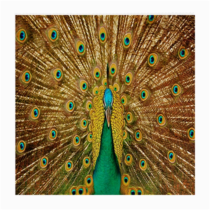 Peacock Bird Feathers Medium Glasses Cloth (2-Side)