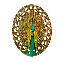 Peacock Bird Feathers Ornament (oval Filigree)