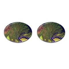 Lena River Delta A Photo Of A Colorful River Delta Taken From A Satellite Cufflinks (oval) by Simbadda