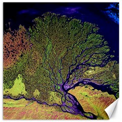 Lena River Delta A Photo Of A Colorful River Delta Taken From A Satellite Canvas 16  X 16   by Simbadda