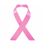 Breast Cancer Ribbon Pink Double Sided Flano Blanket (Small)  50 x40  Blanket Back