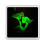 Neon Green Resolution Mushroom Memory Card Reader (Square)  Front