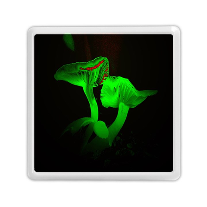 Neon Green Resolution Mushroom Memory Card Reader (Square) 