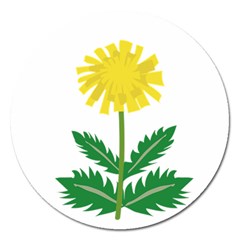 Sunflower Floral Flower Yellow Green Magnet 5  (round)