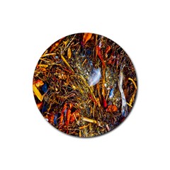 Abstract In Orange Sealife Background Abstract Of Ocean Beach Seaweed And Sand With A White Feather Rubber Coaster (round)  by Nexatart