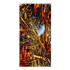 Abstract In Orange Sealife Background Abstract Of Ocean Beach Seaweed And Sand With A White Feather Shower Curtain 36  X 72  (stall)  by Nexatart