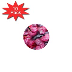 Raspberry Delight 1  Mini Magnet (10 Pack)  by Nexatart