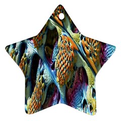 Background, Wallpaper, Texture Star Ornament (two Sides) by Nexatart