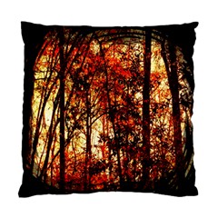 Forest Trees Abstract Standard Cushion Case (one Side) by Nexatart