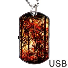 Forest Trees Abstract Dog Tag Usb Flash (two Sides) by Nexatart