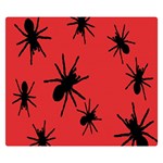 Illustration With Spiders Double Sided Flano Blanket (Small)  50 x40  Blanket Front