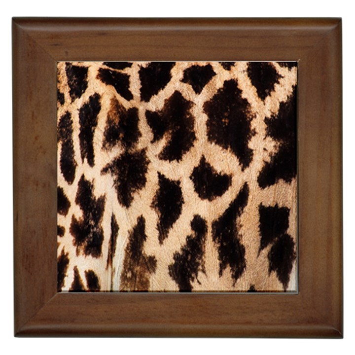 Yellow And Brown Spots On Giraffe Skin Texture Framed Tiles