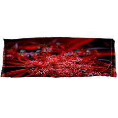 Red Fractal Valley In 3d Glass Frame Body Pillow Case Dakimakura (two Sides) by Nexatart