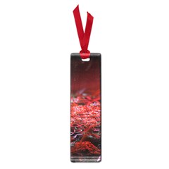 Red Fractal Valley In 3d Glass Frame Small Book Marks