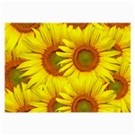 Sunflowers Background Wallpaper Pattern Large Glasses Cloth Front