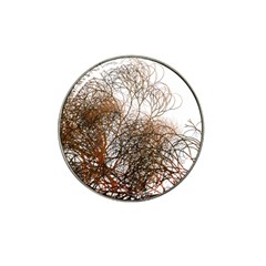 Digitally Painted Colourful Winter Branches Illustration Hat Clip Ball Marker by Nexatart