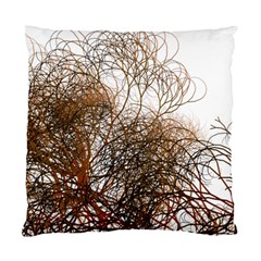 Digitally Painted Colourful Winter Branches Illustration Standard Cushion Case (one Side) by Nexatart