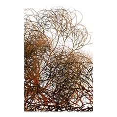 Digitally Painted Colourful Winter Branches Illustration Shower Curtain 48  X 72  (small)  by Nexatart